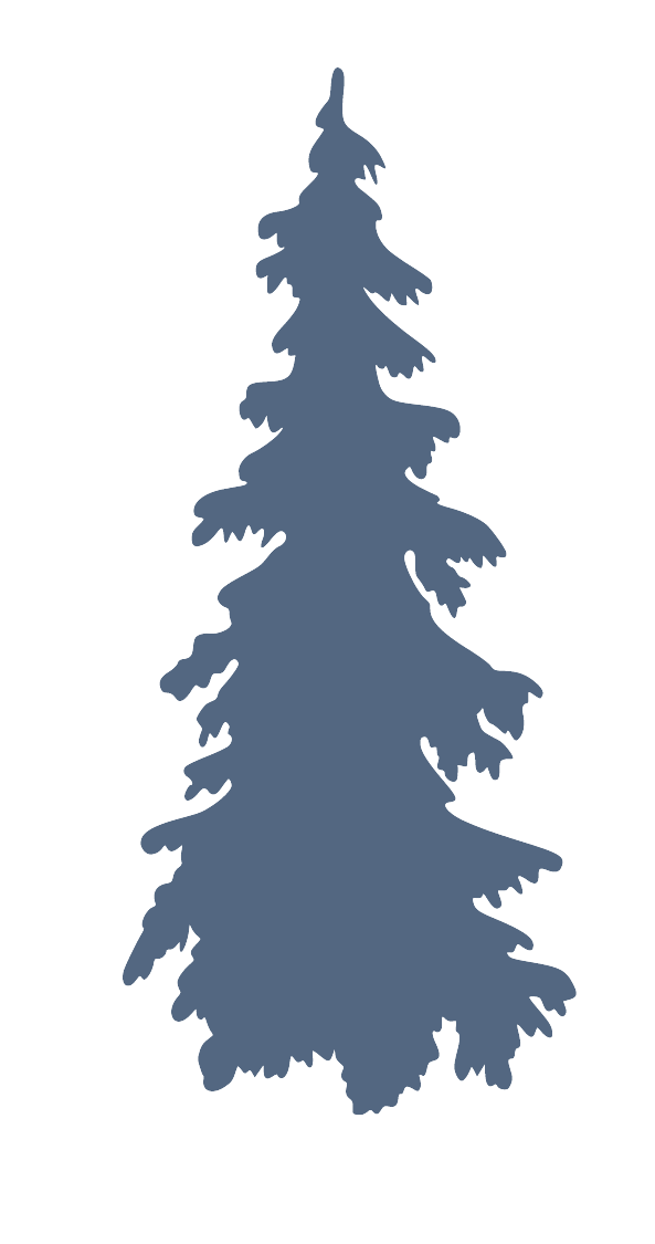 Pine tree single