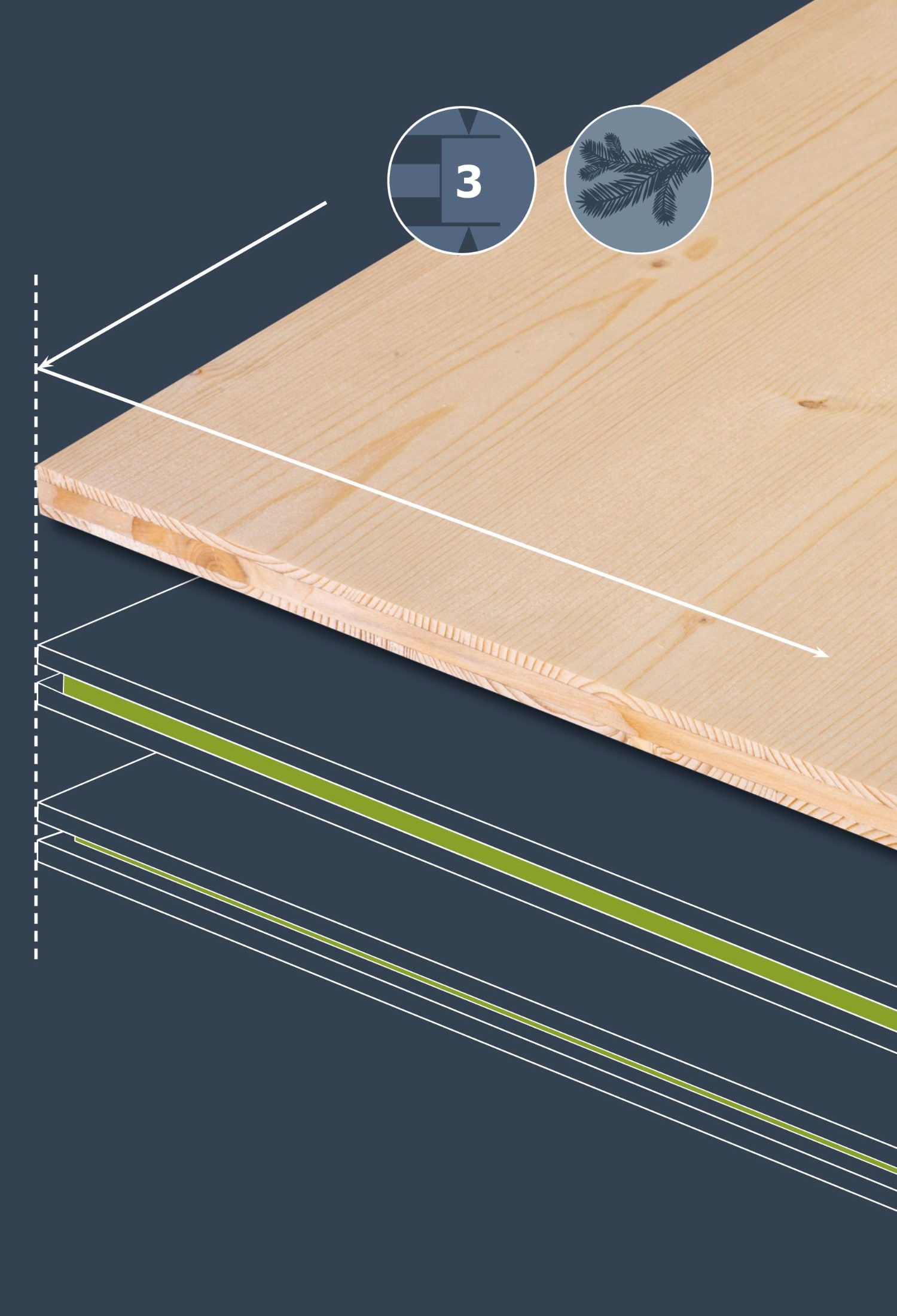 TILLY_Webgrafiken_platten-top-bottom