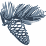 Pinecone-800
