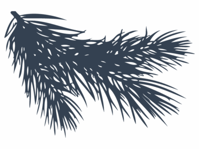 TILLY_Webgrafiken_800x600px_dunkelblauer_Ast