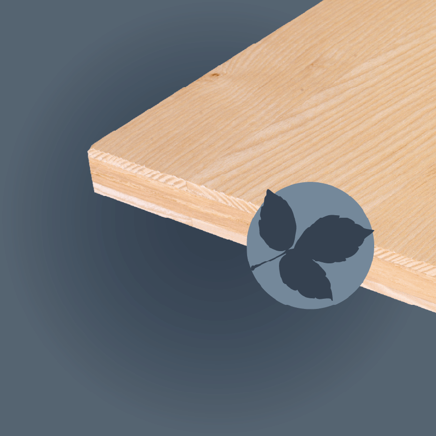 Esche Dreischicht Platte
